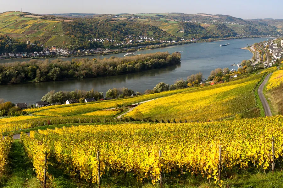 A river valley in Germany surrounded by golden fields.